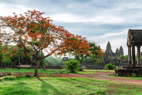 Angkor Highlights Tour: Angkor Wat, Angkor Thom i Ta Prohm