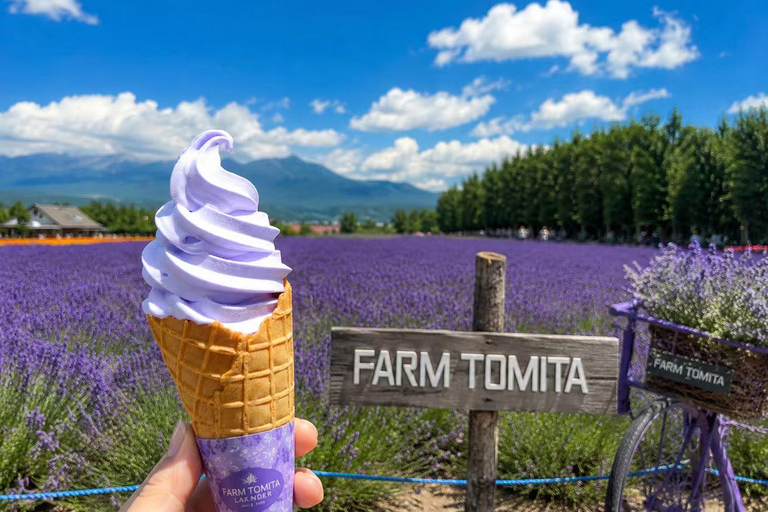 Furano & Biei Day Tour with Lavender Pillow-Making option Buffet Lunch included