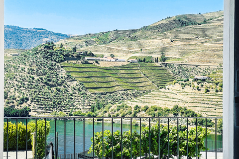 Porto : vallée du Douro, croisière, vins & déjeunerVisite en français avec prise en charge à l’hôtel