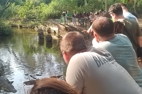 Mombasa: Private City Tour with street food and Haller Park