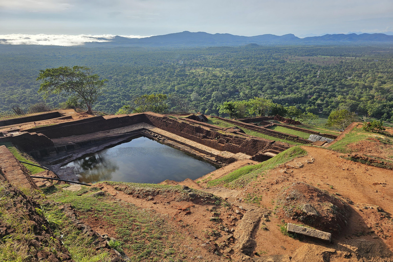 From Colombo: Sigiriya Rock and Dambulla Day Trip and Safari