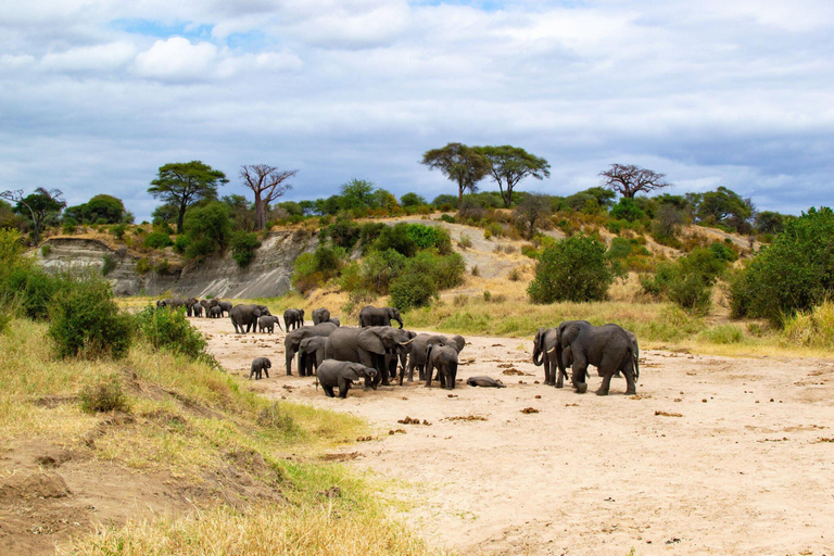 Il più grande safari della migrazione del Serengeti di 7 giorni