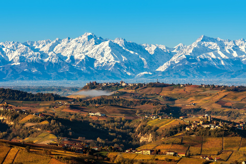 Au départ de Milan : Dégustation de vin Barolo, visite d&#039;Alba et visite du château