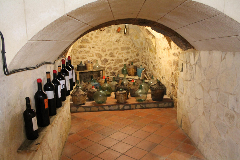 Aranda de Duero: Zwiedzanie podziemnych piwnic i muzeum wina