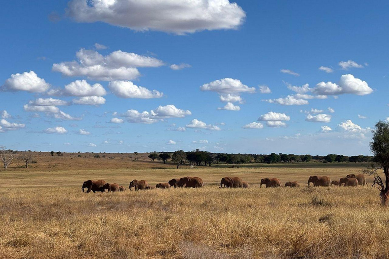 Mombasa/Diani: 2-Day Tsavo East Safari with Meals Private day tour to Tsavo East National Park - VAN