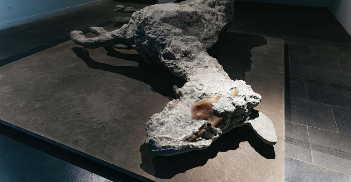 Afbeelding 19 van Vanuit Napels: Pompeii ruïnes & Mount Vesuvius Dagtour