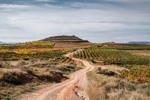 Bilbao: Rioja Wine Region Private Day Tour