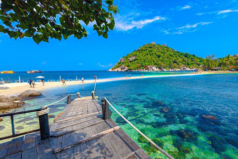 Koh Tao: Snorkel with Turtles at Nangyuan with Fewer Crowds