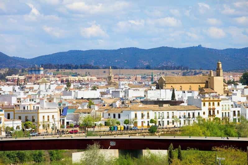 Cordoba: Old Town Private Walking Tour