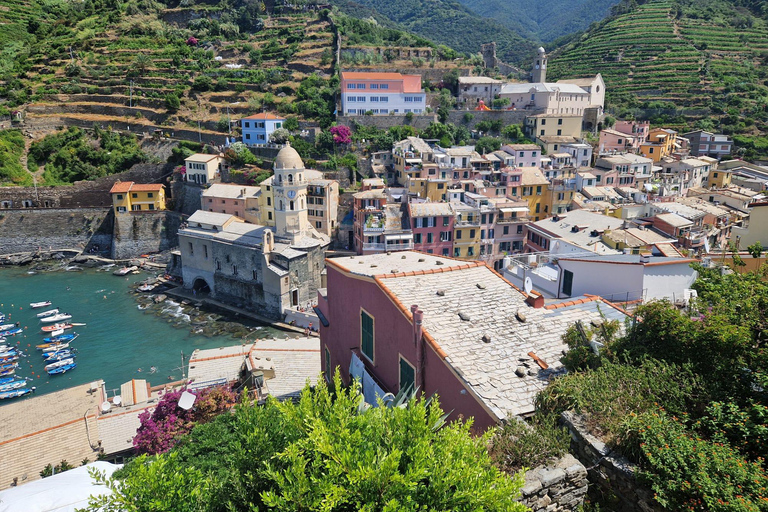 Florence: Cinque Terre & Pisa Day Trip with Transfers ECO-LOGIC Tour of 5 Terre and Pisa