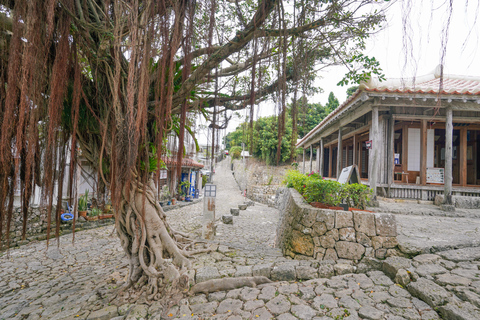 Naha: Okinawa Shuri Castle Peace Walking Tour