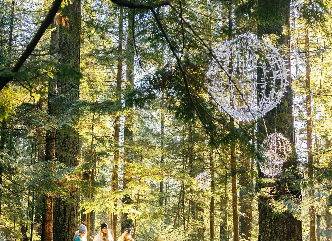 Vancouver: Capilano Suspension Bridge Park billet