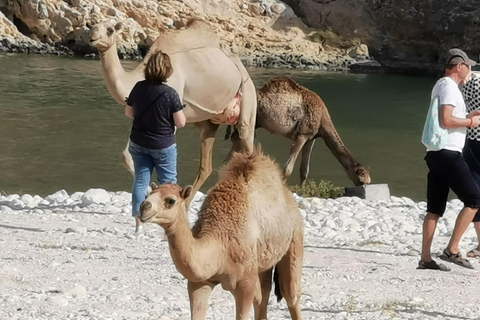 Dagvullende tour: Ten westen van Salalah verborgen parels en rotsachtige stranden