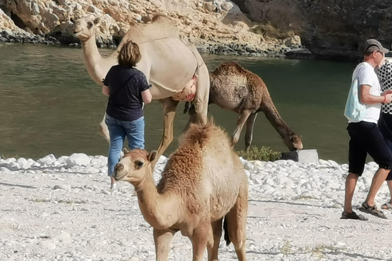 Ganztagestour: Westlich von Salalah versteckte Juwelen und felsige Strände