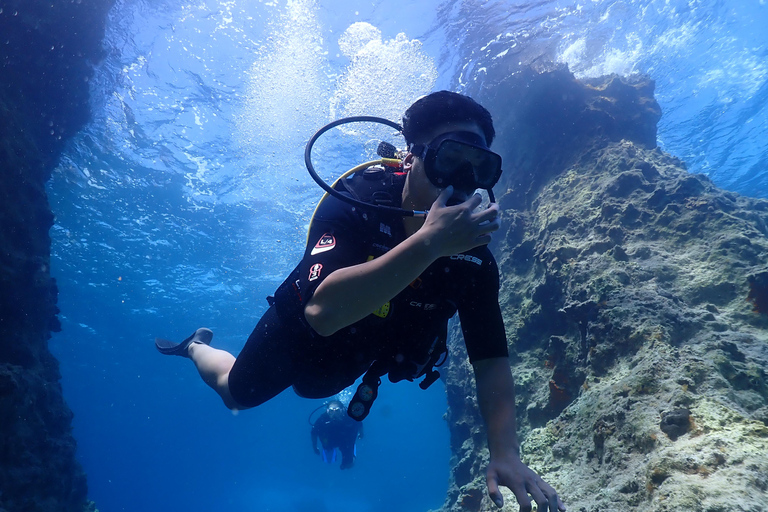 Zakynthos: Small-Group Scuba Diving for All Levels Zakynthos: Discover Scuba Diving Experience with Photos
