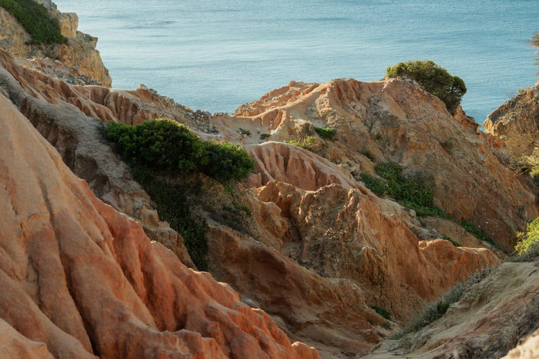 Guided Excursion from Lagos: Algar Seco, Benagil, and Marinha Beach