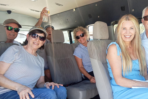 Los Cabos: Airport Private Transfer One Way