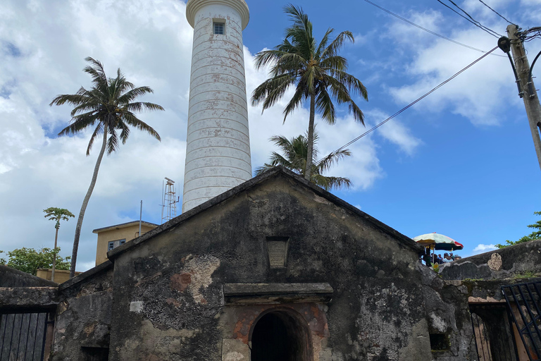 Patrimonio cultural y maravillas naturales de Sri Lanka, 6 díasGrupo pequeño