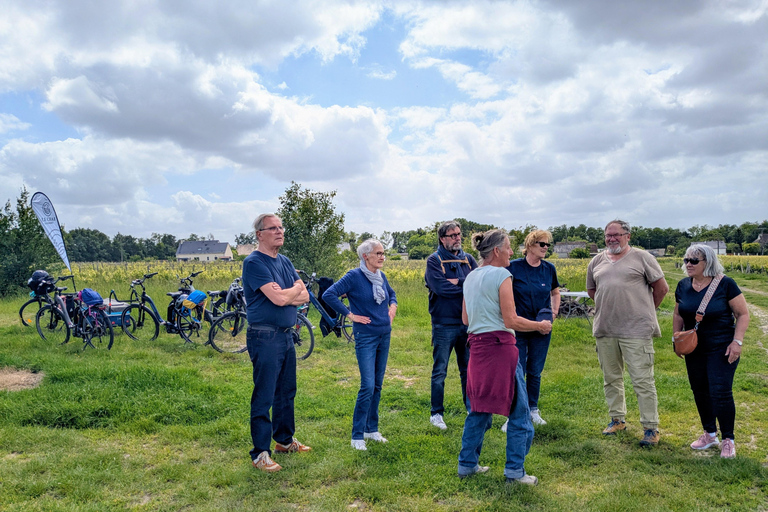 Amboise: Bike ride through the vineyards (wine guide, natural wine) Amboise: Bike getaway in the vineyards (wine guide, natural wine)