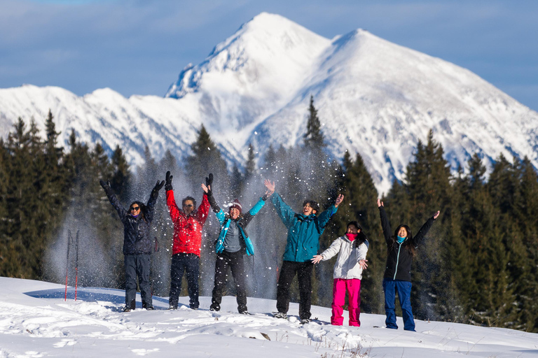 From Ljubljana/Bled: Beginner Snowshoe in Julian Alps From Bled - pickup at your accommodation