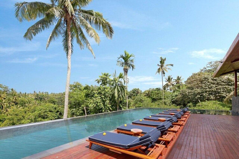 Ubud/Monkey Forest: Habitat Bistro Dining Experience Dining Voucher 200,000 IDR & Table Reservation