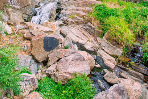Ella to Belihuloya Safari Day Tour Hidden Nature Escape
