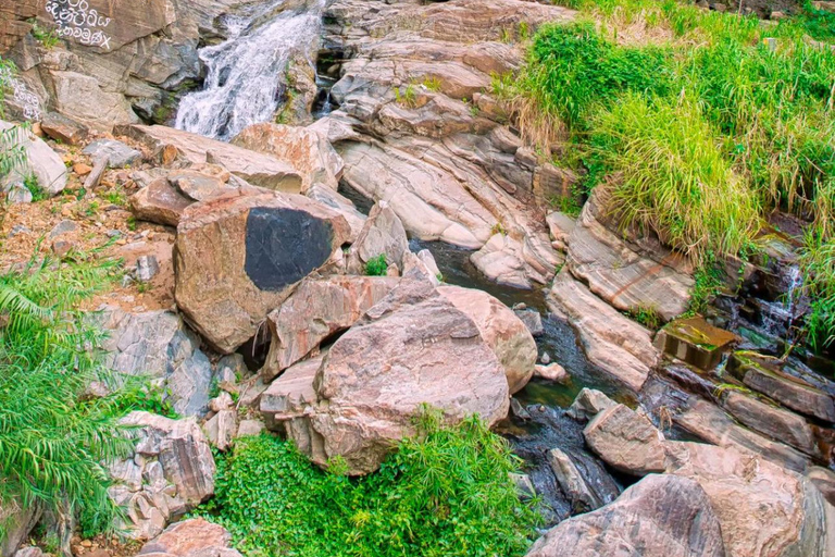 Ella to Belihuloya Safari Day Tour Hidden Nature Escape