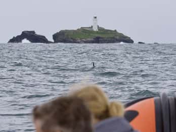 Godrevy to Hell's Mouth Boat Trip