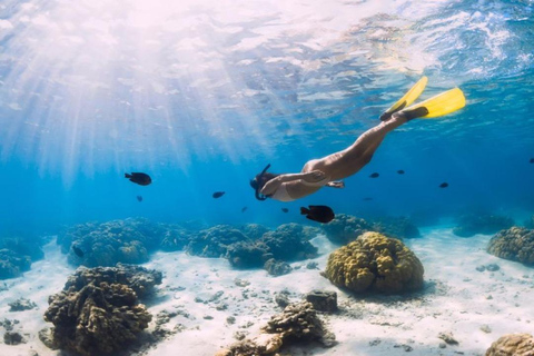 Gili Air: Privat snorkling på 4 platser med GoPro-kamera