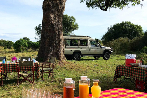 3-daagse safari in het Amboseli National Park met luchtballonvaart