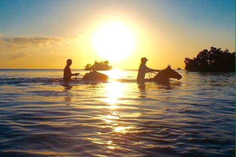 Zanzibar Private Horseback Riding, The Rock Restaurant