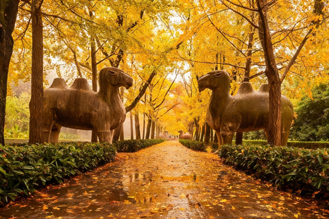 Tour di 1 giorno a Nanjing da Shanghai in treno ad alta velocitàTour privato di 1 giorno a Nanchino da Shanghai in treno ad alta velocità