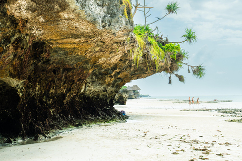 Zanzibar: Secret Beach, Kuza Cave e Jozani com trasladoPraia secreta, caverna Kuza e floresta Jozani com traslado