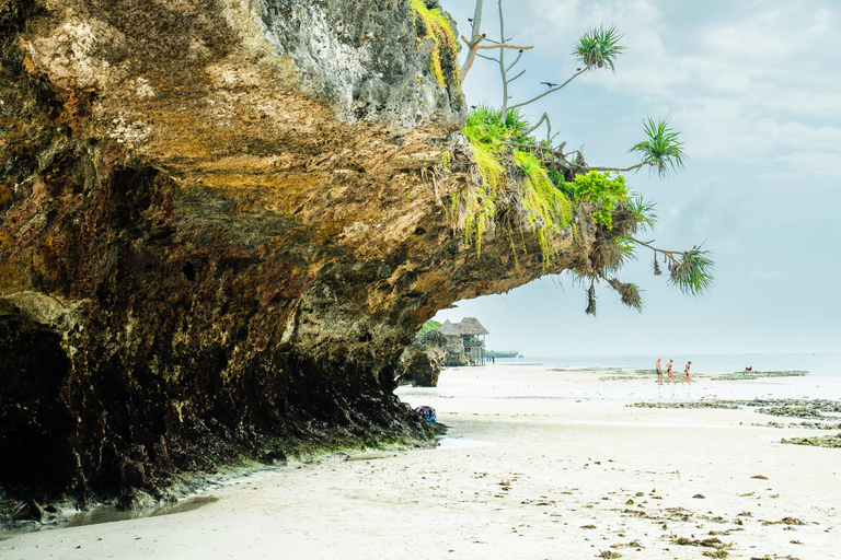 Zanzibar: Secret Beach, Kuza Cave e Jozani com trasladoPraia secreta, caverna Kuza e floresta Jozani com traslado