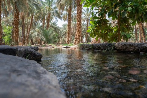 Jeddah: Makkah and Madinah Private Tour and Transfer