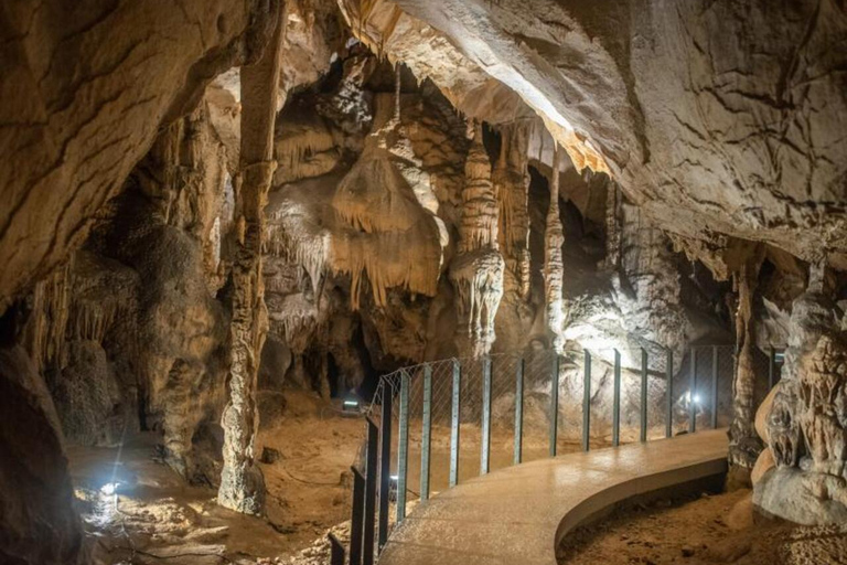 From Plitvice: Tour of Cerovac Caves & Nikola Tesla Museum