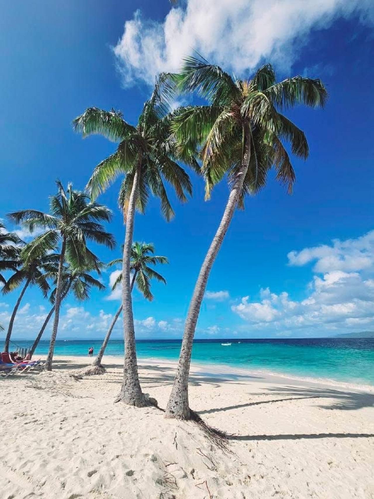 Amber Cove & Taino Bay: Privater VIP-Ausflug mit Affen und Strand