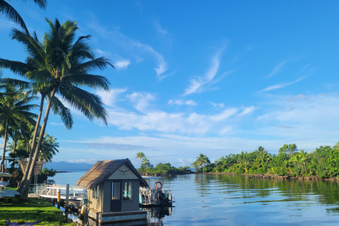 Pacific Harbour: 1 Mile Reef Guided Snorkeling Tour & Gear