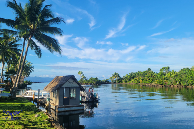 Pacific Harbour: 1 Mile Reef Guided Snorkeling Tour & Gear