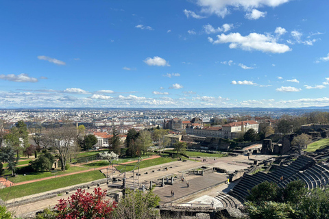 Lyon : Visita Lyon en un tour de medio día privado con chófer