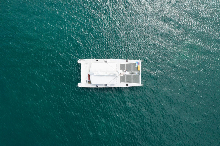Kota Kinabalu: Catamaran with Drink, Ice Cream or Dessert
