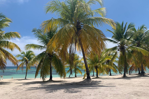 Punta Cana: Ilha Saona Premium 3 praias