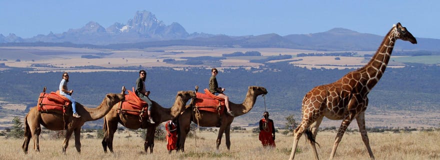 Depuis Nairobi : safari Camelback Wildlife avec transfert et repas