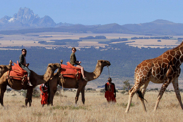 Camelback Wildlife Safari with Transfers & Meal from Nairobi 2-Hour Camelback Wildlife Safari with Transfers & Meal