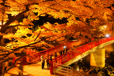 Nagoya: Obara Cherry Blossoms & Korankei Autumn Illumination