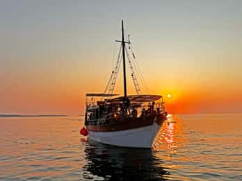 Fazana: Ricerca dei delfini nelle isole Brioni Safari con cena