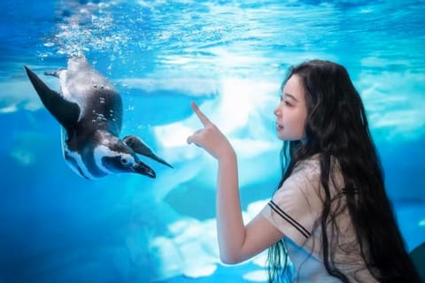 Shanghai: Ocean Aquarium Entry Ticket with QR Code