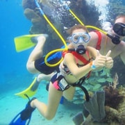 Cozumel: SNUBA Cozumel Underwater Adventure | GetYourGuide