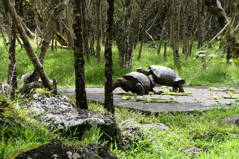 Floreana: Snorkeling, History and Volcanic Trails Sightseeing Tour Floreana: Snorkeling, History, and Volcanic Trails Sightseeing Tour