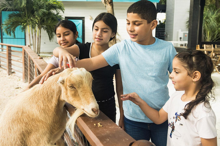Miami: Dschungelinsel Allgemeiner Eintritt